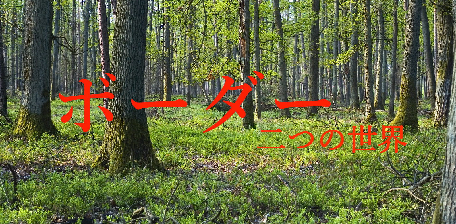 おすすめダークファンタジー 映画 ボーダー 二つの世界 の魅力 ダクファンさん おすすめダークファンタジー 映画 ボーダー 二つの世界 の魅力 ダクファンさん